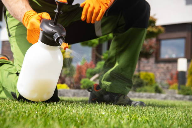 Best Pest Control Near Me  in Cvallis, OR