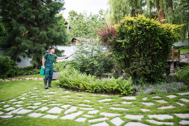 Best Local Pest Control Services  in Cvallis, OR