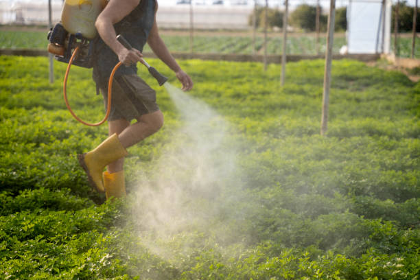 Best Flea Control Services  in Cvallis, OR