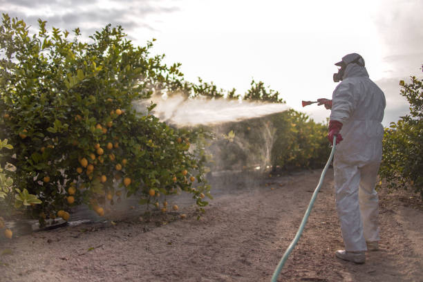 Best Mosquito Control Services  in Cvallis, OR