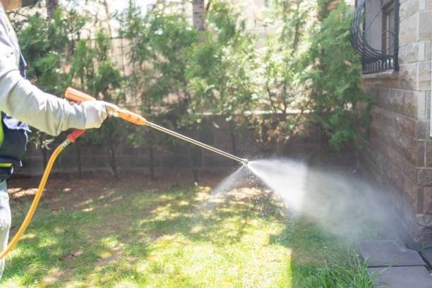 Best Pest Removal Services  in Cvallis, OR