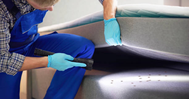 Best Best Pest Control Companies  in Cvallis, OR