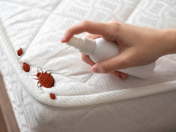 Best Commercial Pest Control Services  in Cvallis, OR