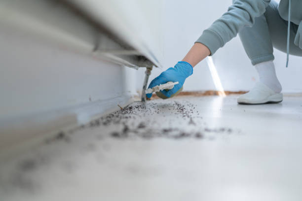Best Affordable Pest Control Services  in Cvallis, OR